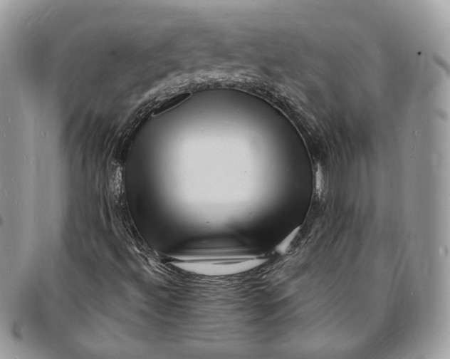 X0000096391492200802141442