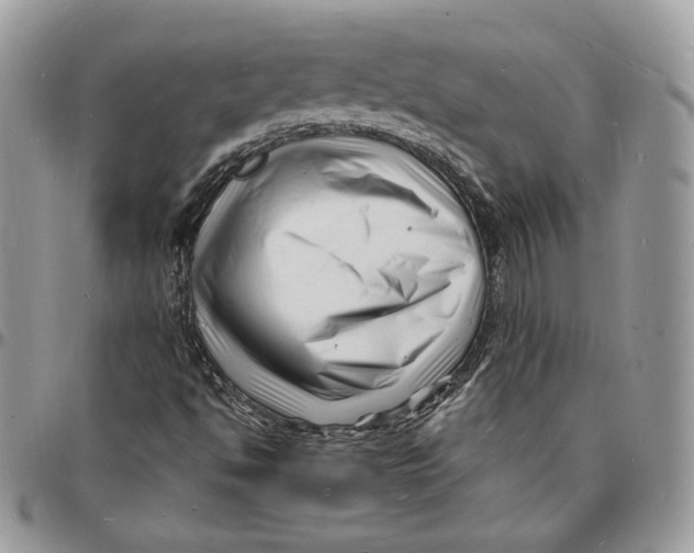 X0000096391494200802141442