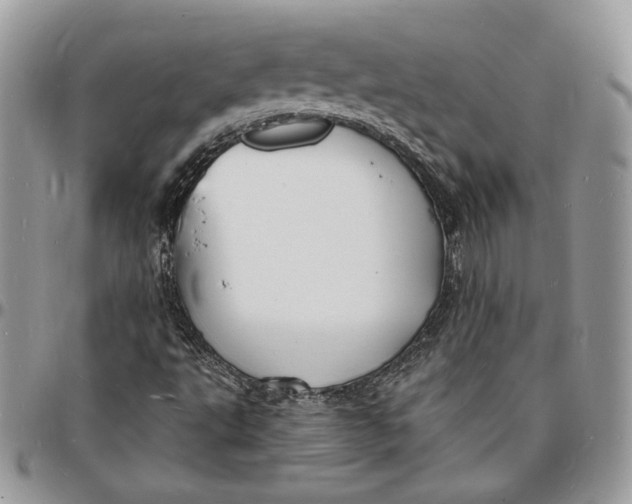X0000096391495200802141442