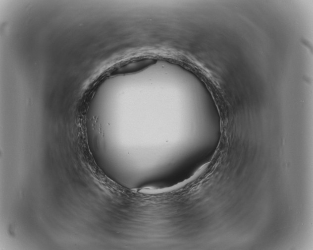 X0000096391496200802141442