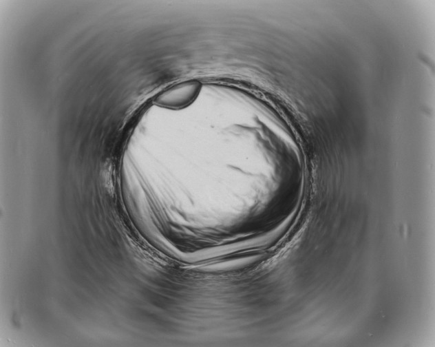 X0000096391497200802141442