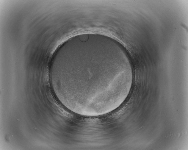 X0000096391498200802141442