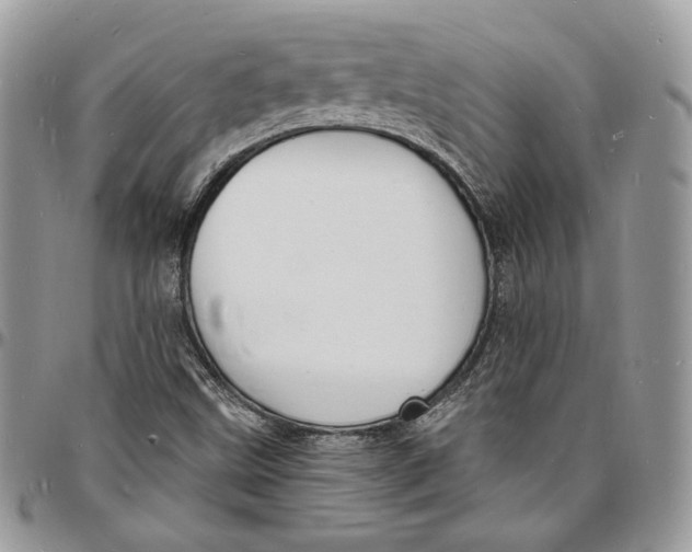 X0000096391499200802141442