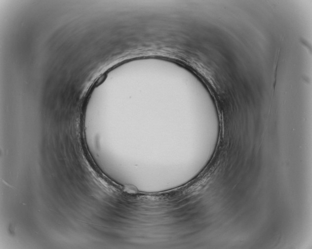 X0000096391500200802141442