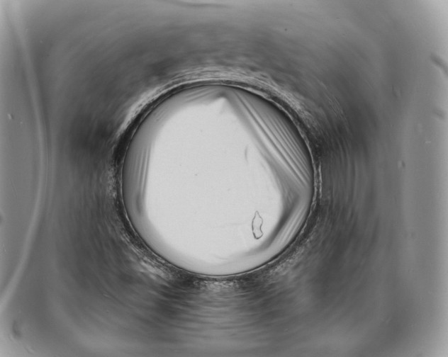 X0000096391501200802141442