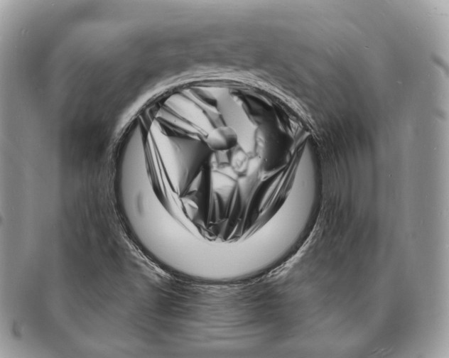 X0000096391502200802141442