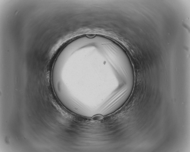 X0000096391503200802141442