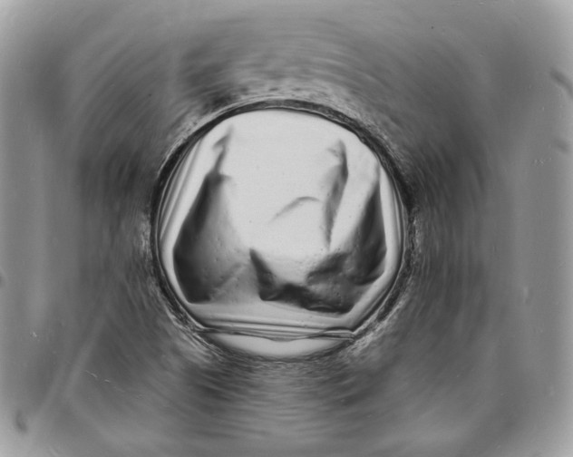 X0000096391505200802141442