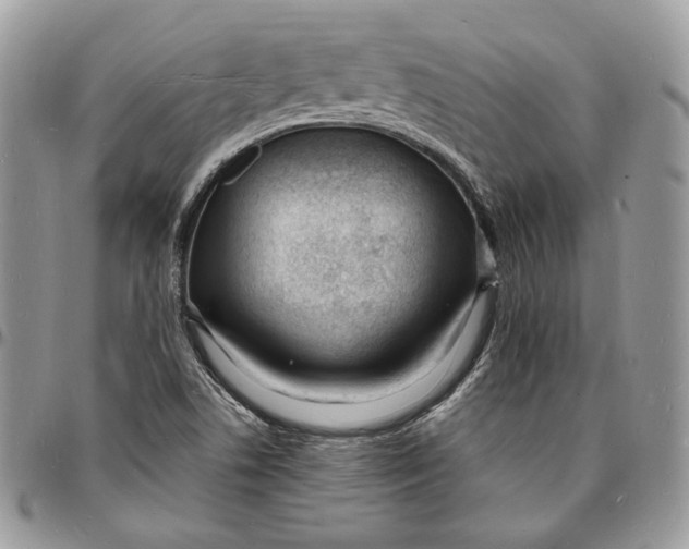 X0000096391506200802141442
