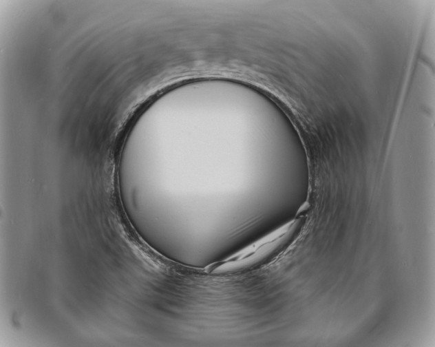 X0000096391507200802141442