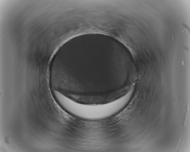 X0000096391508200802141442