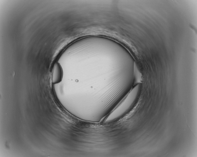 X0000096391509200802141442
