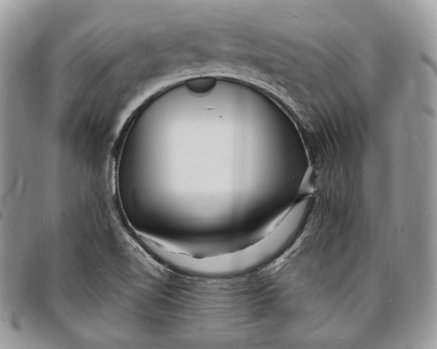 X0000096391510200802141442