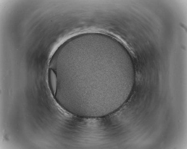 X0000096391512200802141442