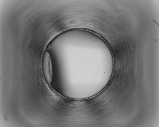 X0000096391513200802141442
