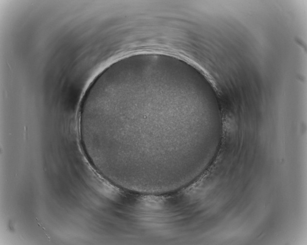 X0000096391514200802141442