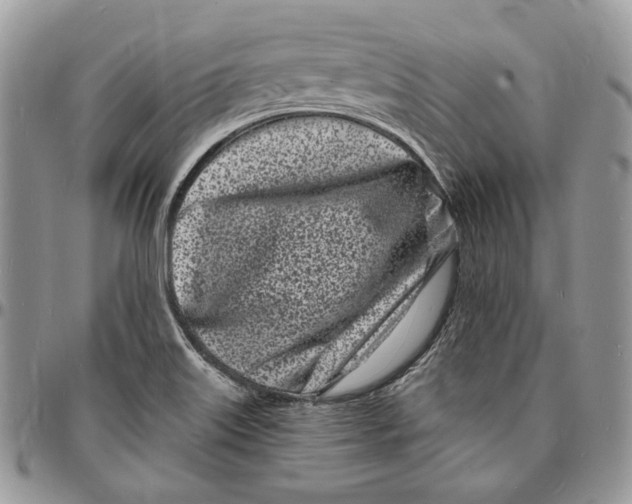 X0000096391515200802141442