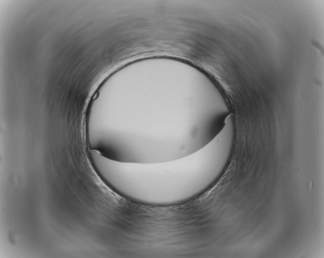 X0000096391516200802141442