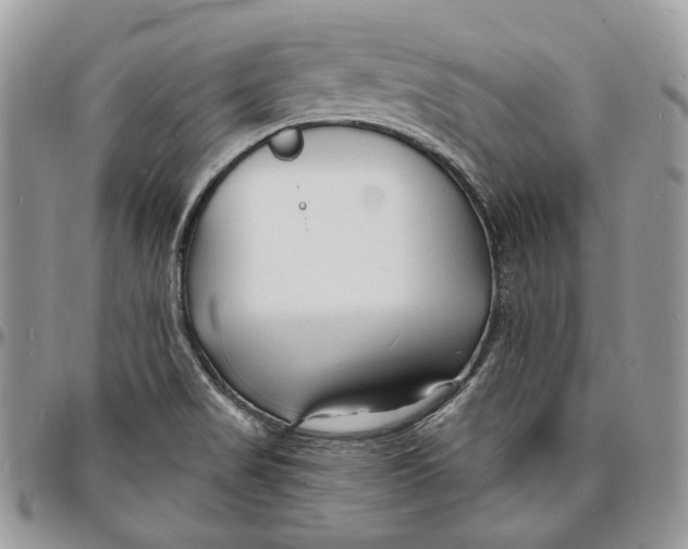 X0000096391517200802141443