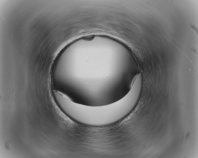 X0000096391518200802141443