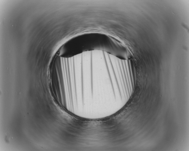 X0000096391519200802141443