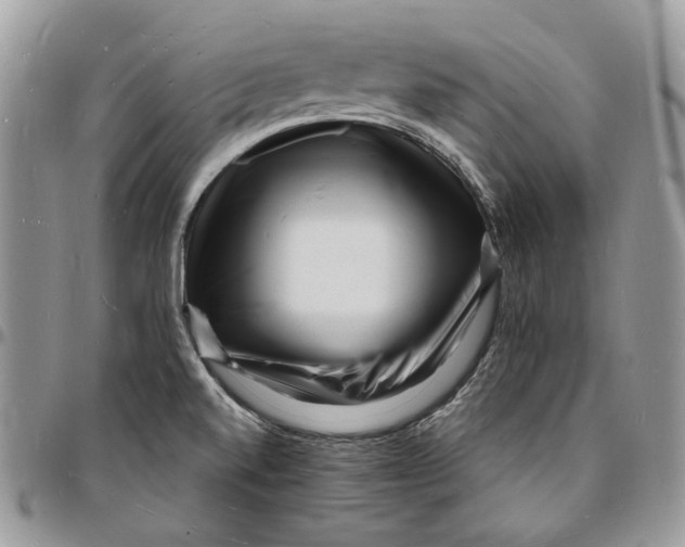 X0000096391520200802141443