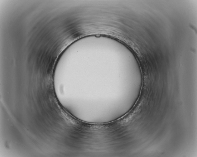 X0000096391521200802141443