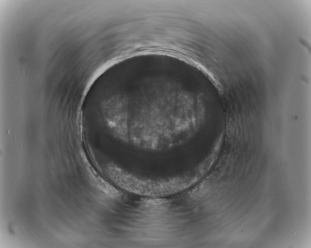 X0000096391522200802141443