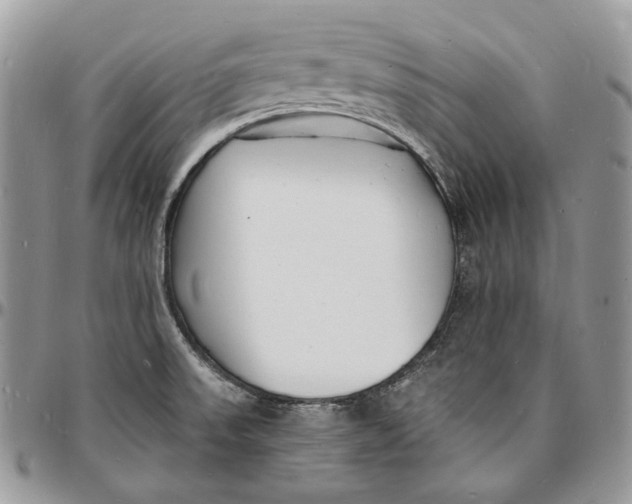 X0000096391523200802141443