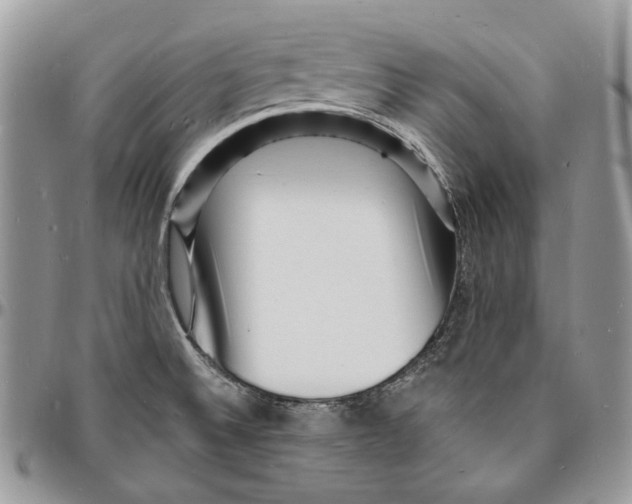 X0000096391524200802141443