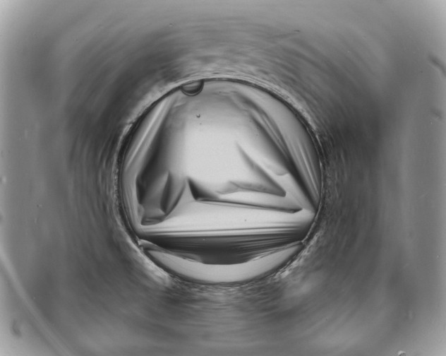 X0000096391525200802141443