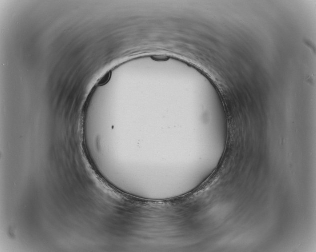 X0000096391526200802141443