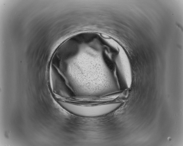 X0000096391527200802141443