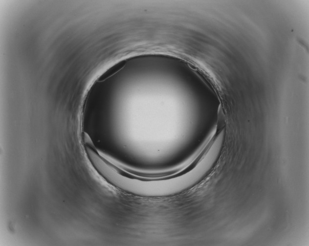 X0000096391528200802141443