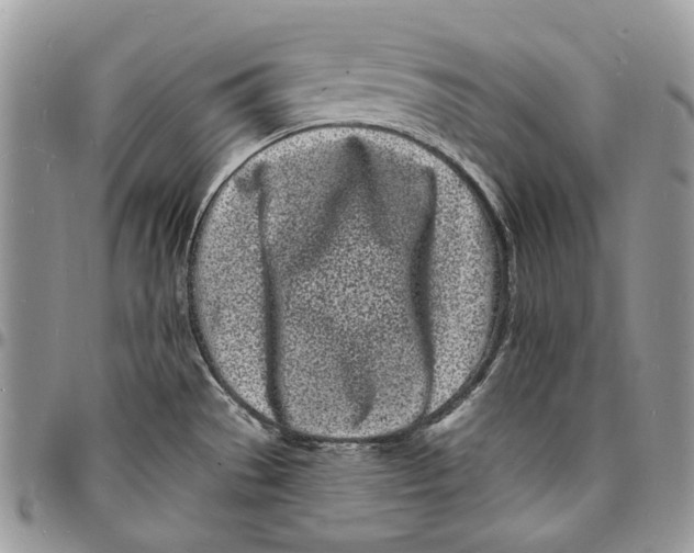 X0000096391529200802141443