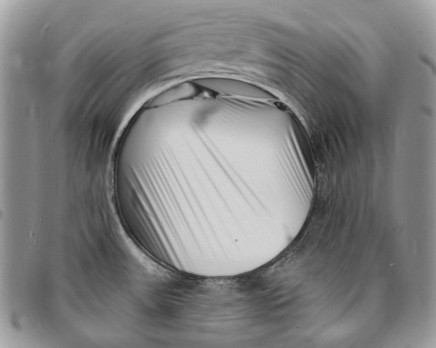 X0000096391531200802141443