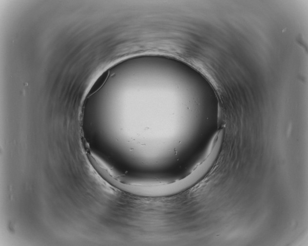 X0000096391532200802141443