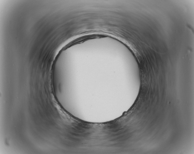 X0000096391534200802141443
