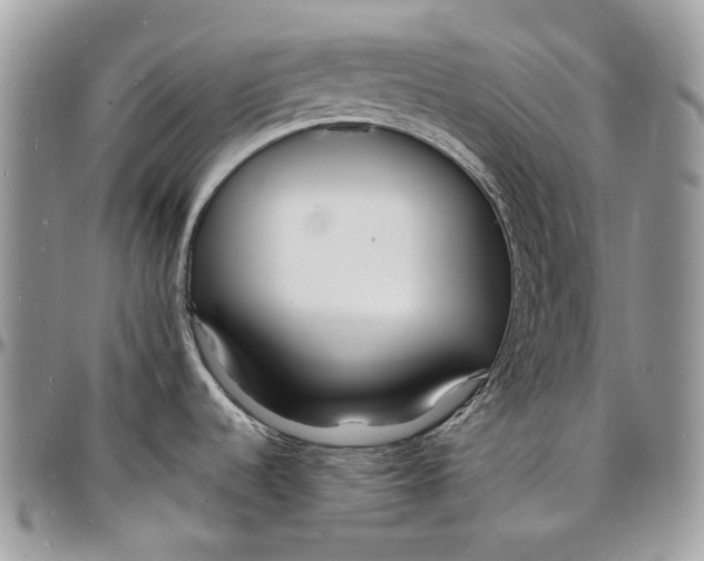 X0000096391536200802141443
