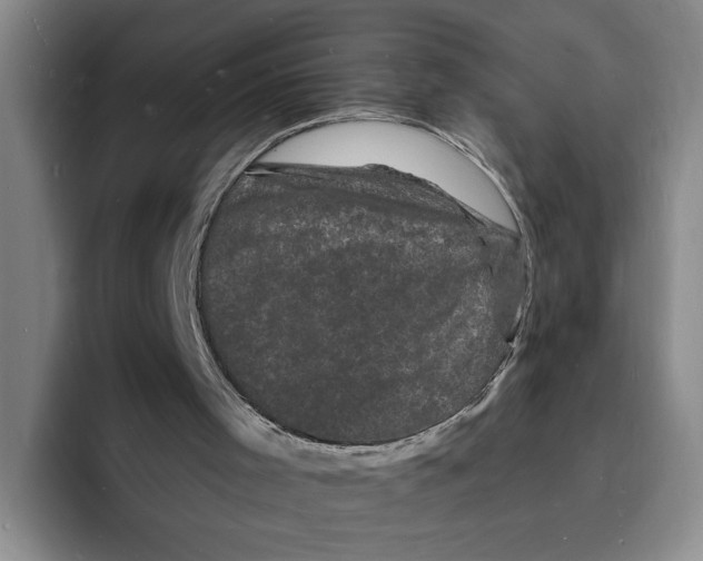 X0000096390001200802211152