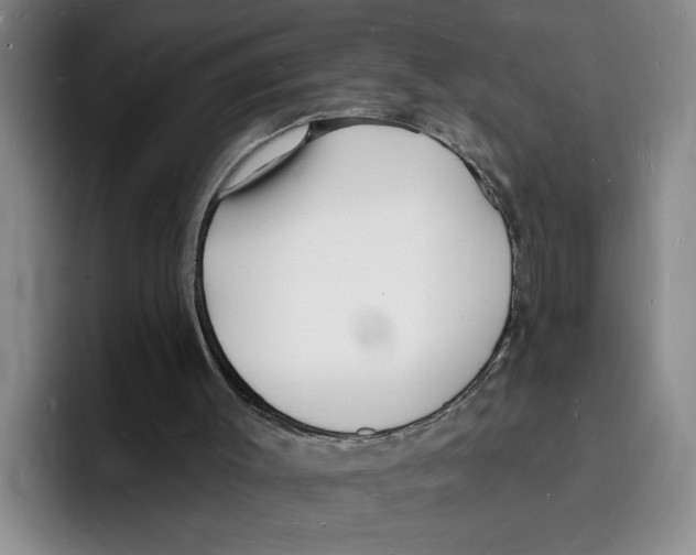 X0000096390003200802211152