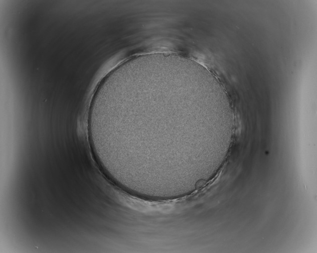 X0000096390004200802211152