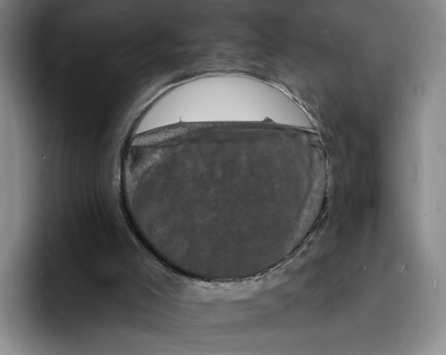 X0000096390005200802211152