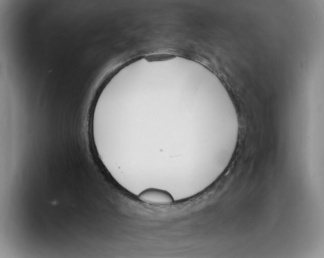 X0000096390006200802211152