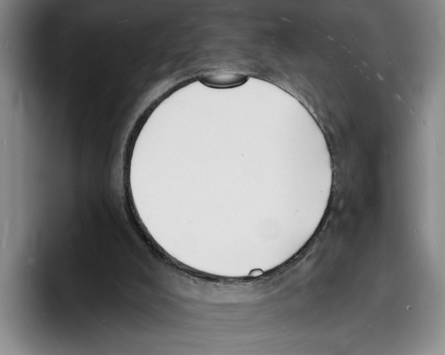 X0000096390008200802211152