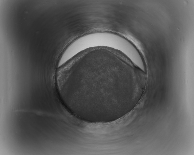 X0000096390009200802211152