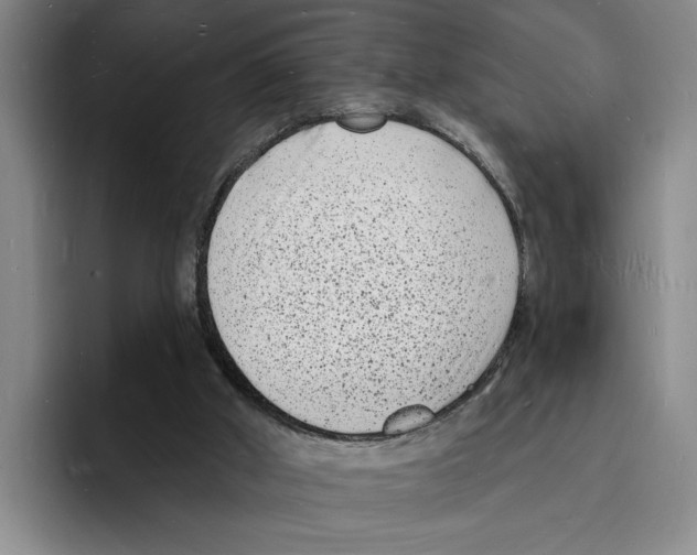 X0000096390010200802211152
