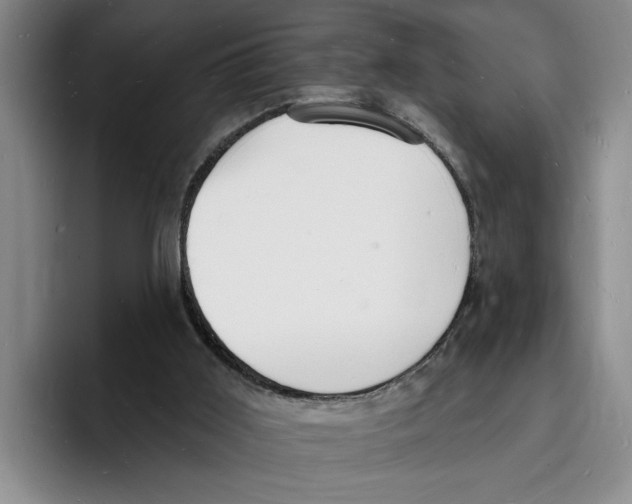 X0000096390011200802211152