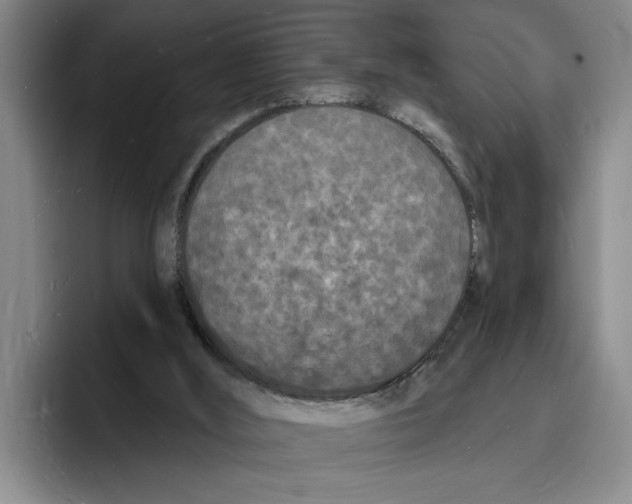 X0000096390012200802211152