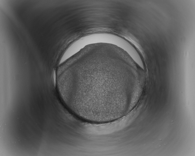 X0000096390013200802211152